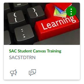 SAC Student Canvas Training.JPG