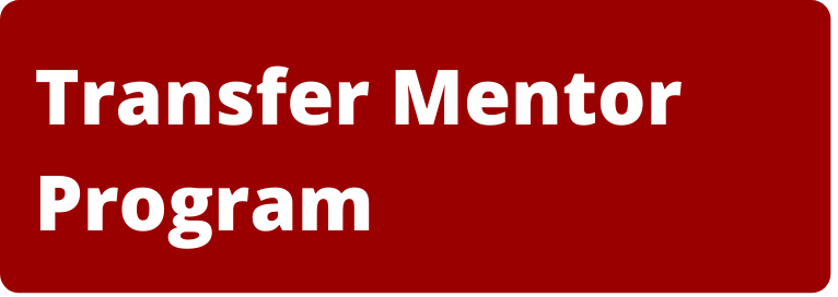 Link to Transfer Mentor Program website.