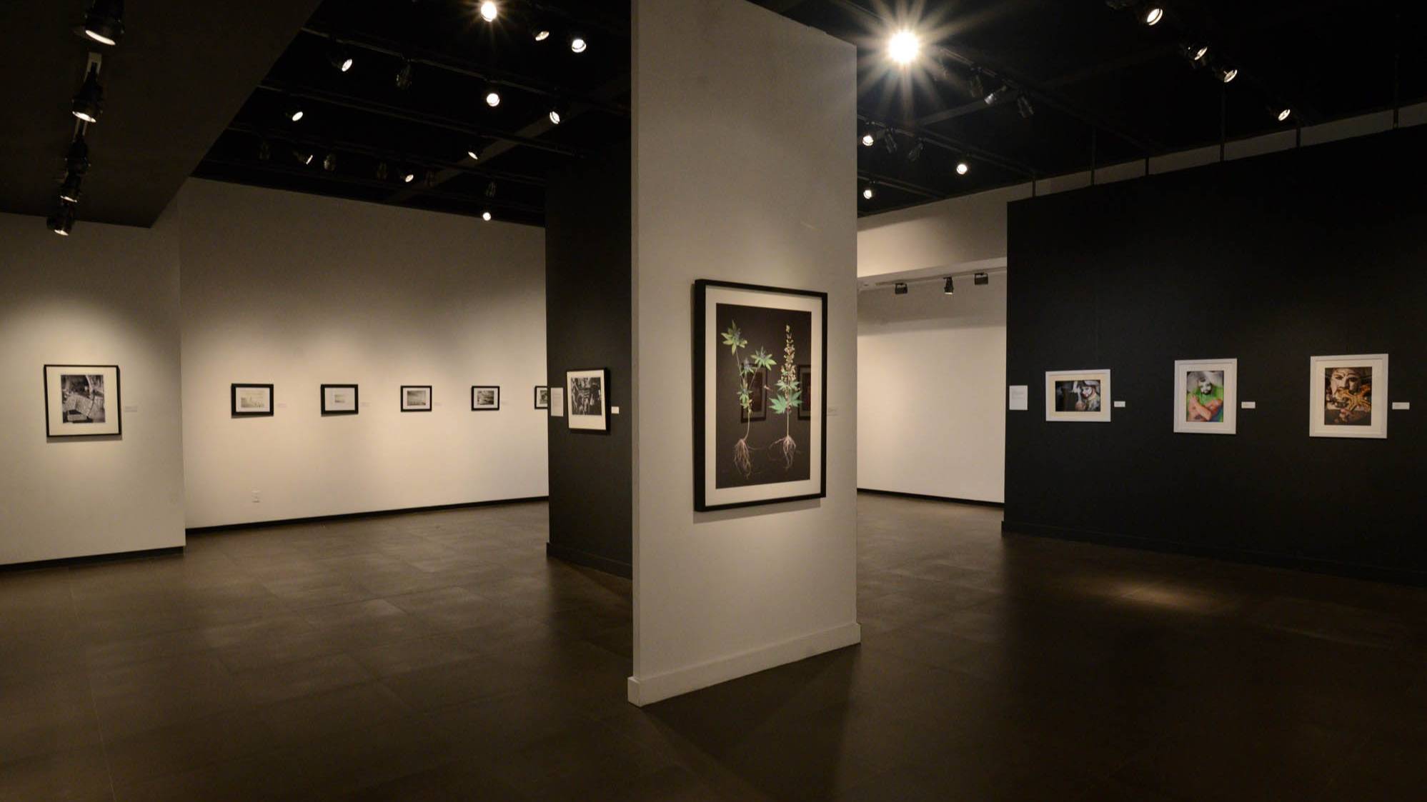 dimly lit art gallery